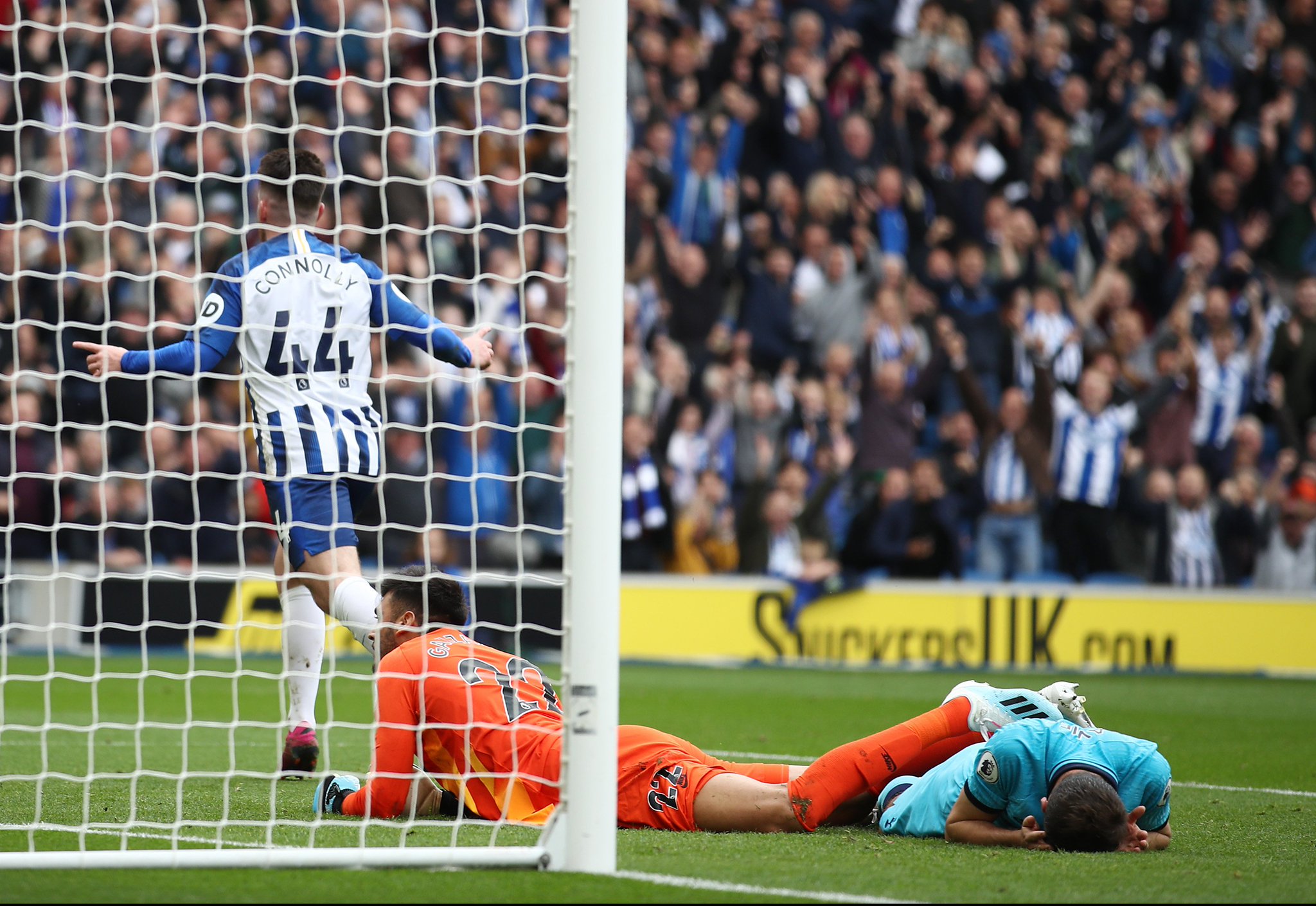 他们的重要 他们的重要